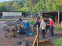 Eselterekking Sommer